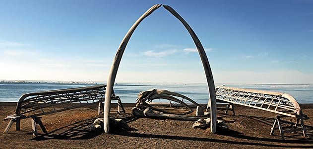 whale-bones-Barrow-Alaska-631.jpg__800x600_q85_crop