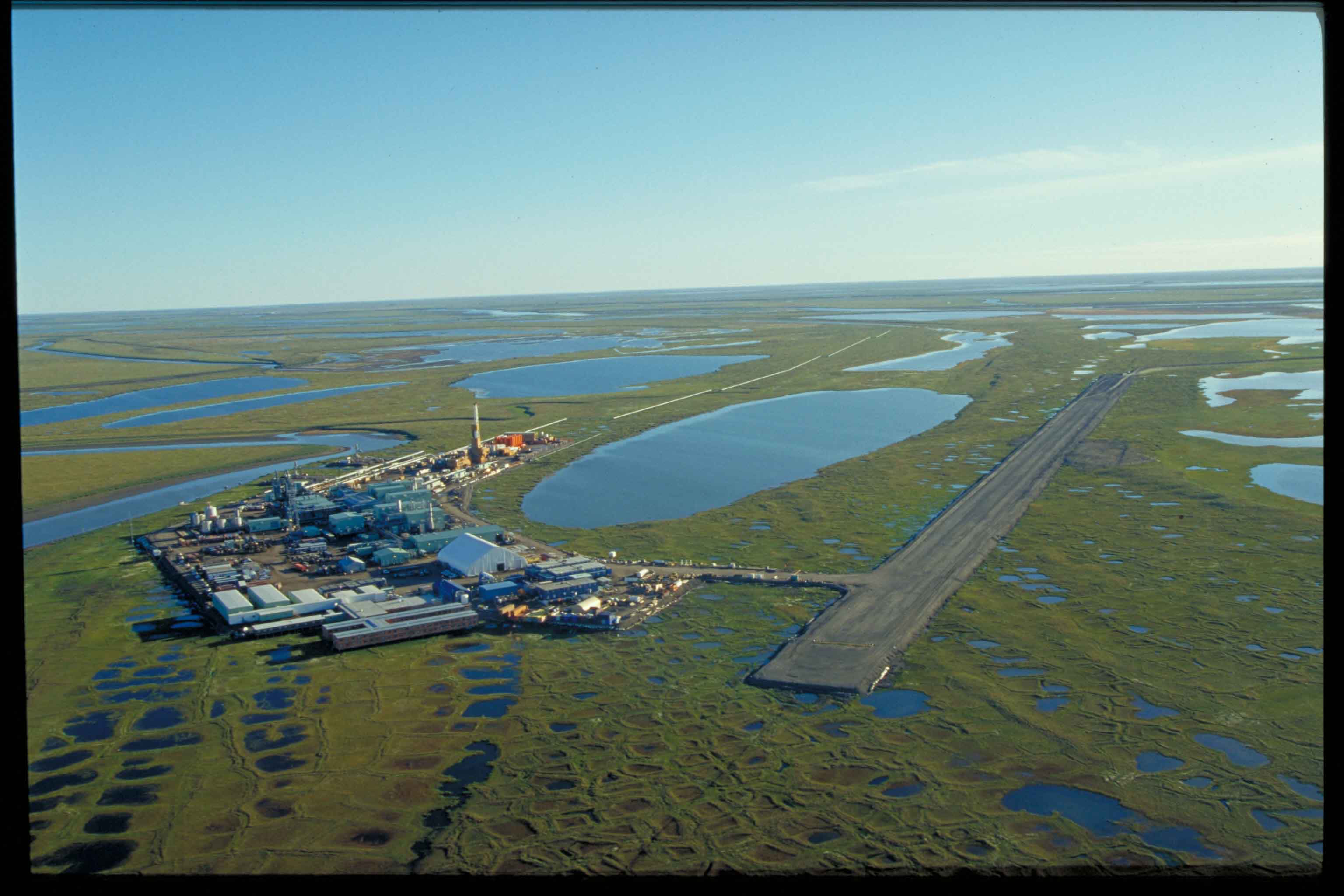 Alaska tundra